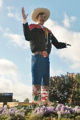 TX St Fair3